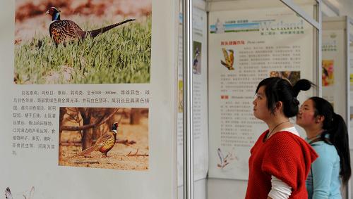 郑州举行黄河湿地生物多样性专题展览