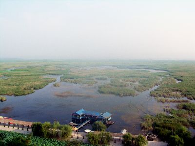 湿地美景